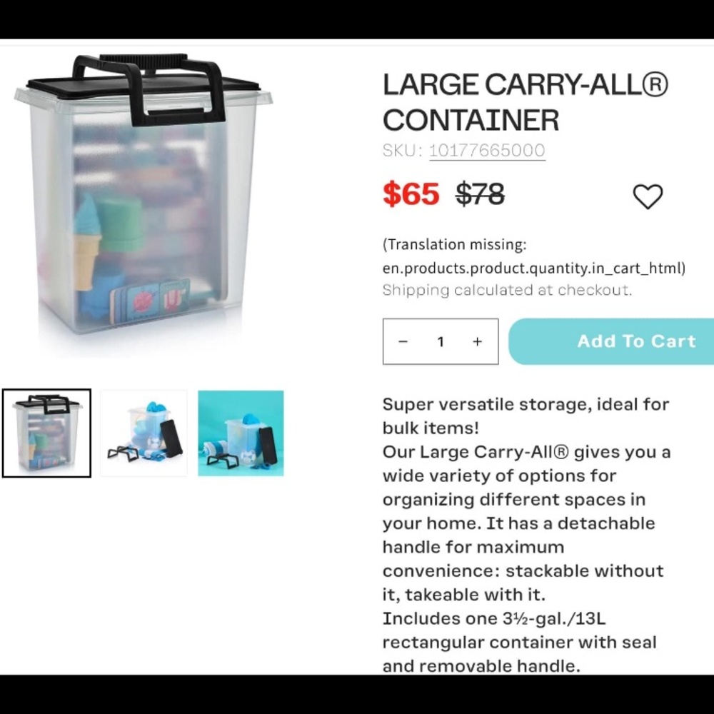 Large carry all bins holds 10 kg of flour